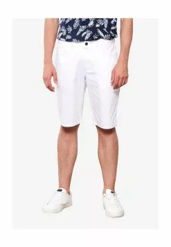 LC WAIKIKI Standard Fit Men's Shorts