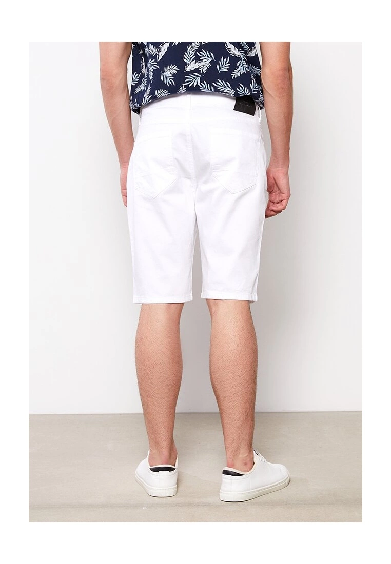 LC WAIKIKI Standard Fit Men's Shorts 4 LC WAIKIKI Standard Fit Men's Shorts - Image 2