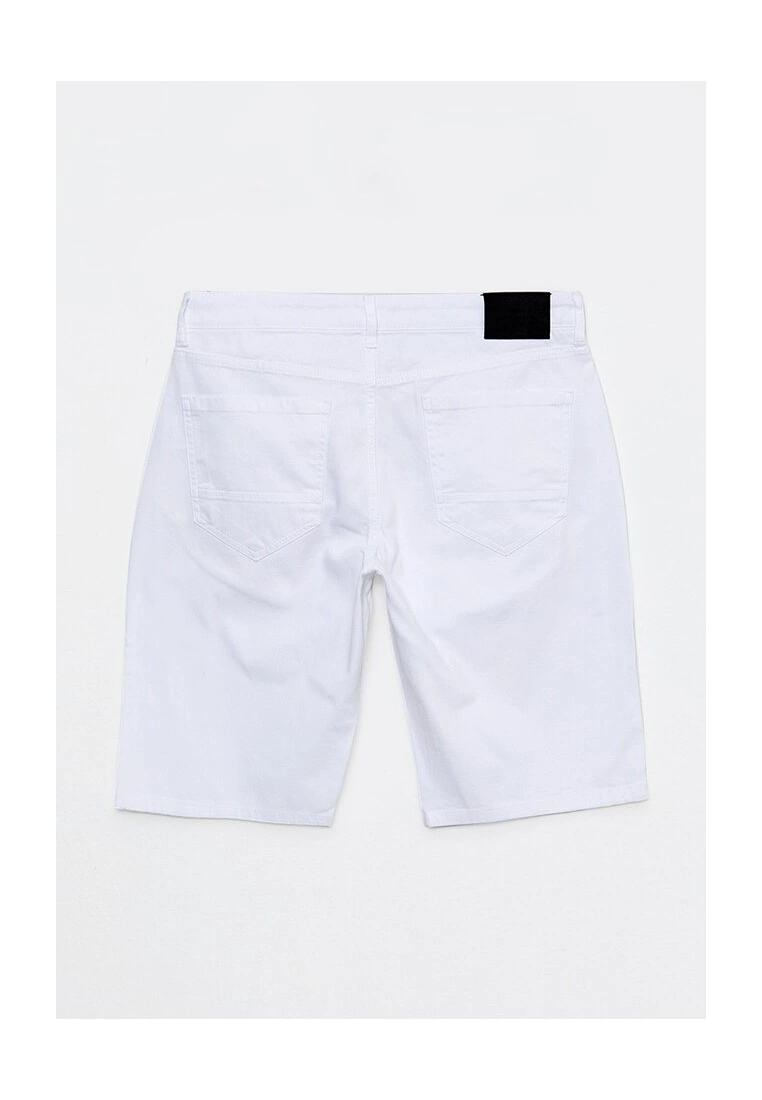 LC WAIKIKI Standard Fit Men's Shorts 8 LC WAIKIKI Standard Fit Men's Shorts - Image 6