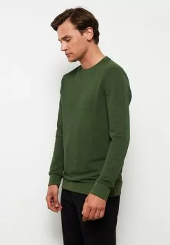 LC WAIKIKI Crew Neck Long Sleeve Men's Sweatshirt