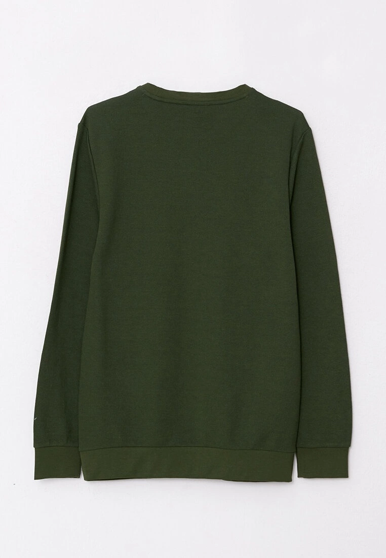 LC WAIKIKI Crew Neck Long Sleeve Men's Sweatshirt 9 LC WAIKIKI Crew Neck Long Sleeve Men's Sweatshirt - Image 7