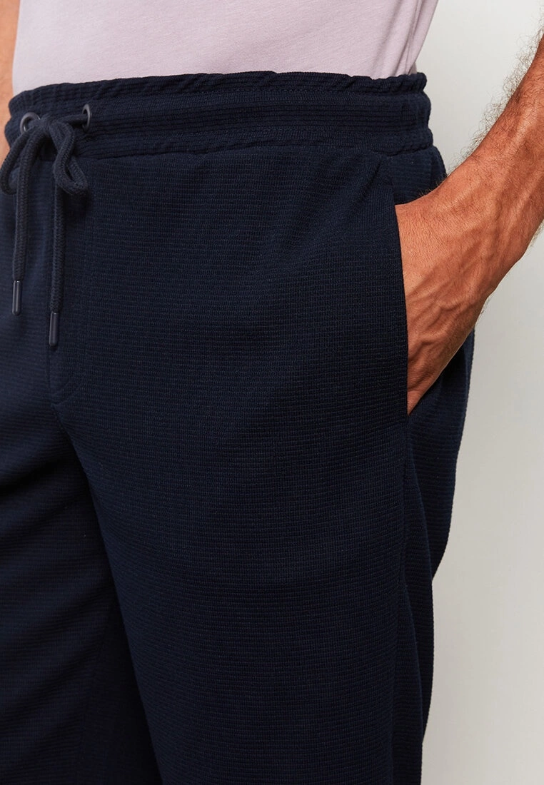 LC WAIKIKI Standard Pattern Waist Elastic Men's Shorts 5 LC WAIKIKI Standard Pattern Waist Elastic Men's Shorts - Image 3