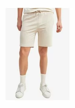 LC WAIKIKI Standard Fit Shorts