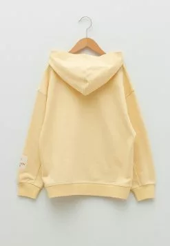 LC WAIKIKI Hooded Basic Long Sleeve Boy Sweatshirt -LC WAIKIKI popular shop lc waikiki 2219 0474936 2