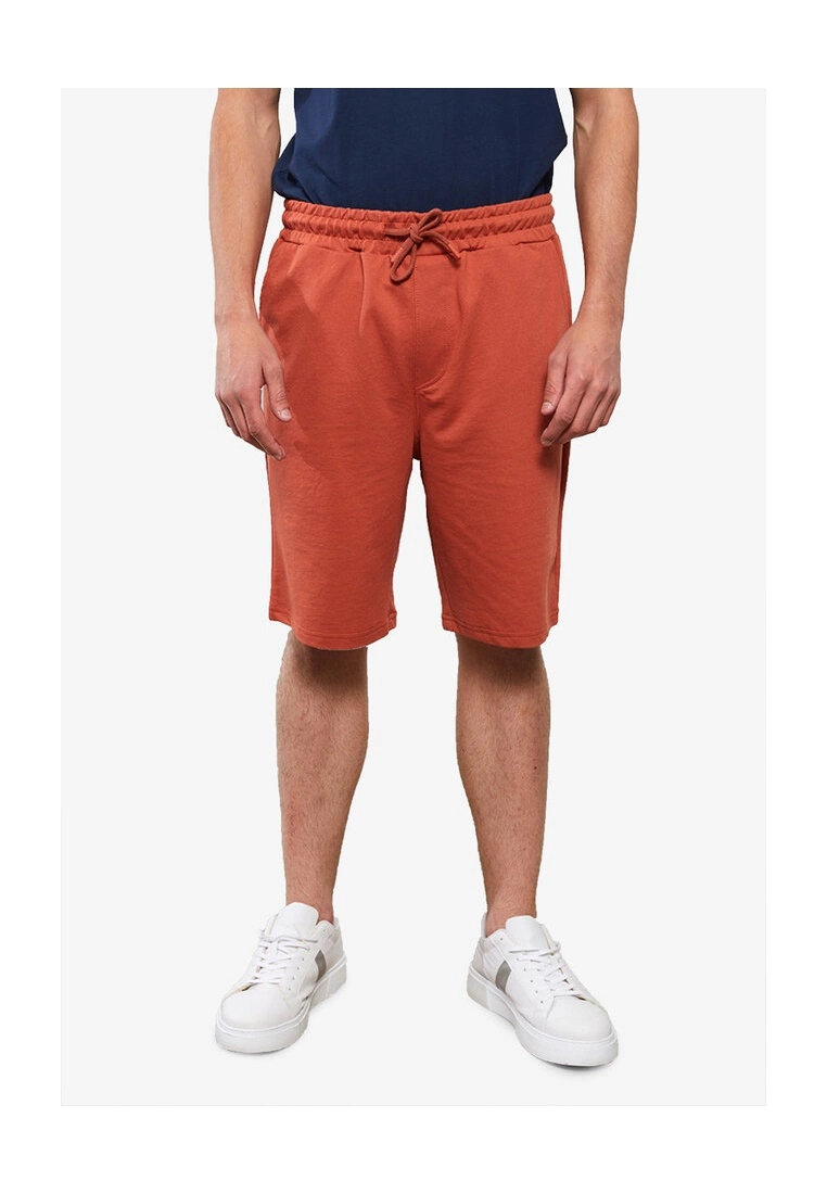 LC WAIKIKI Standard Pattern Knitted Men's Shorts 3 LC WAIKIKI Standard Pattern Knitted Men's Shorts