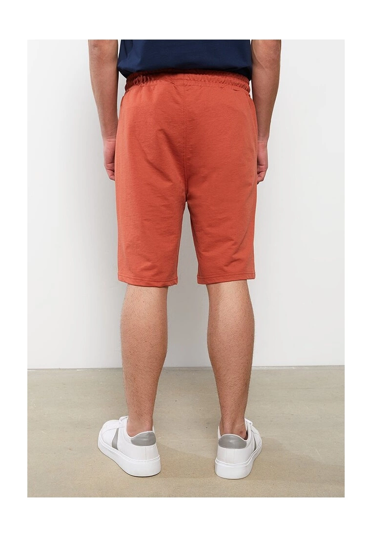 LC WAIKIKI Standard Pattern Knitted Men's Shorts 4 LC WAIKIKI Standard Pattern Knitted Men's Shorts - Image 2