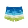 LC WAIKIKI Striped Quick Dry Boxer Swim Shorts -LC WAIKIKI popular shop lc waikiki 3989 4088426 1