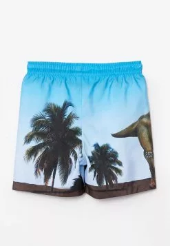 LC WAIKIKI Printed Quick Drying Boy's Swim Shorts -LC WAIKIKI popular shop lc waikiki 4208 9098726 2