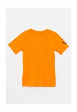 LC WAIKIKI Boys' Looney Tunes Printed T-Shirt -LC WAIKIKI popular shop lc waikiki 4627 6837626 2