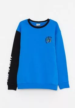 LC WAIKIKI Crew Neck Printed Long Sleeve Boy Sweatshirt