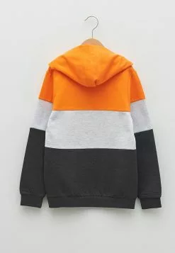 LC WAIKIKI Hooded Printed Long Sleeve Boy Sweatshirt And Sweatpants -LC WAIKIKI popular shop lc waikiki 6655 5474936 3