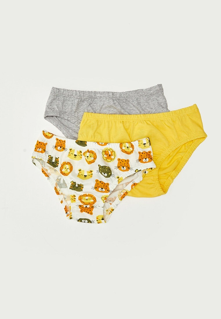 LC WAIKIKI Elastic Waist Baby Boy Panties 3 Pcs 3 LC WAIKIKI Elastic Waist Baby Boy Panties 3 Pcs