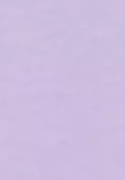 LC WAIKIKI Crew Neck Basic Girls' Blouse -LC WAIKIKI popular shop lc waikiki 6924 3794036 3