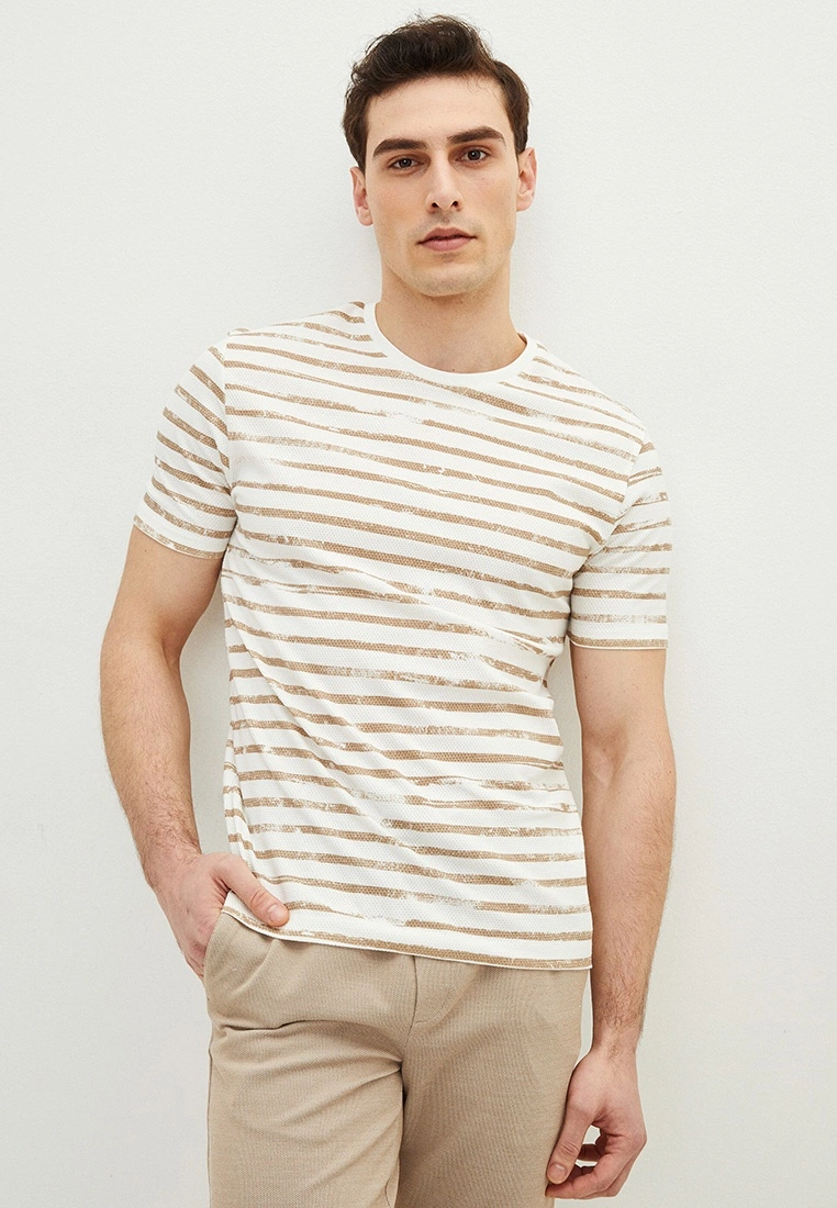 LC WAIKIKI Crew Neck Short Sleeve Striped Pique Men's T-Shirt 3 LC WAIKIKI Crew Neck Short Sleeve Striped Pique Men's T-Shirt