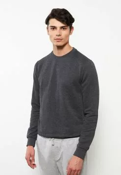 LC WAIKIKI Crew Neck Long Sleeve Men's Sweatshirt