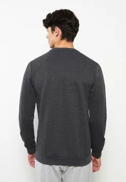 LC WAIKIKI Crew Neck Long Sleeve Men's Sweatshirt -LC WAIKIKI popular shop lc waikiki 7464 6613236 5