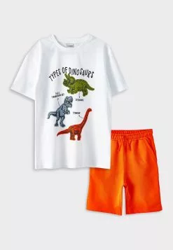 LC WAIKIKI Crew Neck Printed Short Sleeve Boy T-Shirt And Shorts