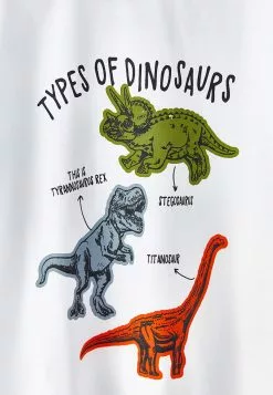 LC WAIKIKI Crew Neck Printed Short Sleeve Boy T-Shirt And Shorts -LC WAIKIKI popular shop lc waikiki 7493 4994036 4