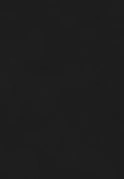 LC WAIKIKI Tummy Paneled Plain Bias Detail Maternity Leggings -LC WAIKIKI popular shop lc waikiki 7523 5985326 6