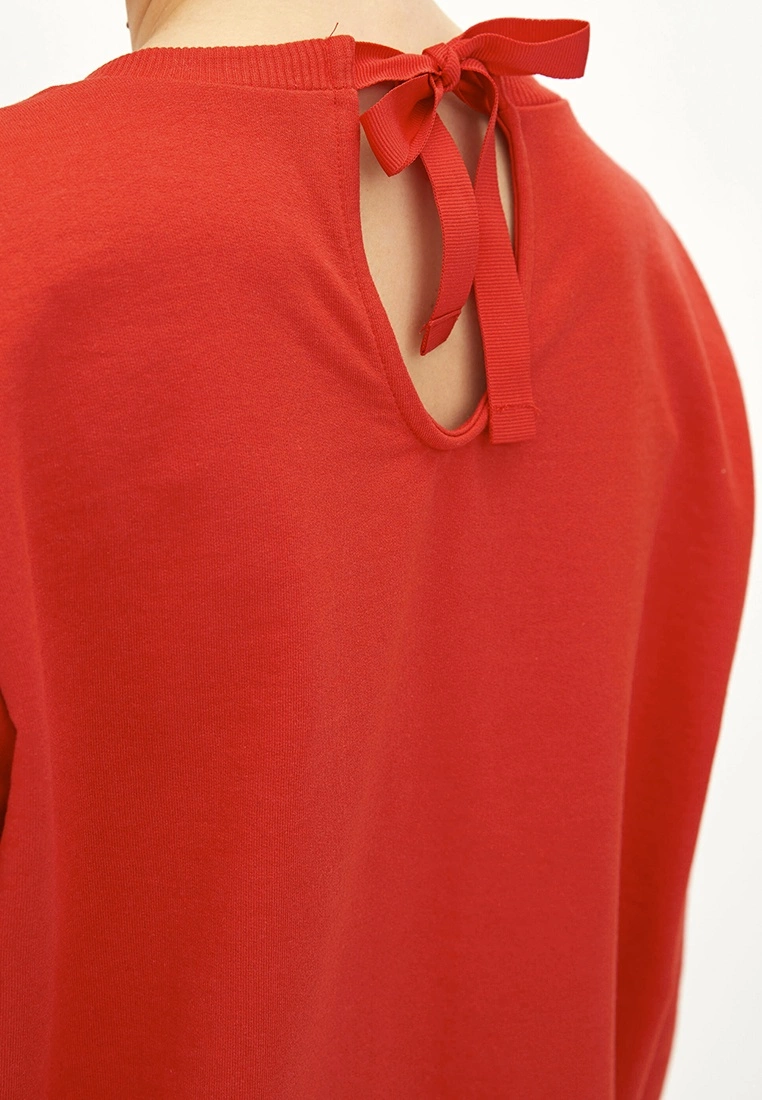 LC WAIKIKI Crew Neck Straight Long Sleeve Women's Sweatshirt 6 LC WAIKIKI Crew Neck Straight Long Sleeve Women's Sweatshirt - Image 4