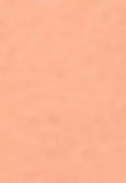 LC WAIKIKI Hooded Printed Long Sleeve Women's Sweatshirt Tunic -LC WAIKIKI popular shop lc waikiki 7546 0353036 5