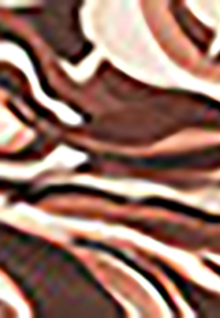 LC WAIKIKI Women's Pencil Skirt With Zipper Waist Pattern 8 LC WAIKIKI Women's Pencil Skirt With Zipper Waist Pattern - Image 6