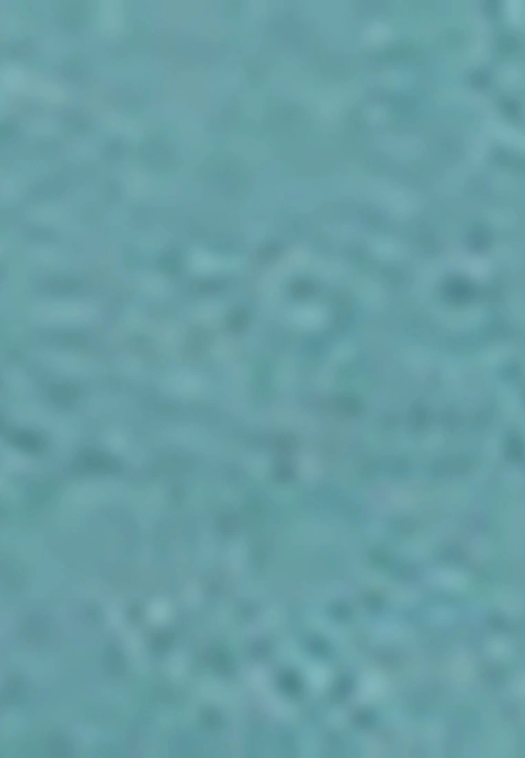 LC WAIKIKI Crew Neck Looney Tunes Printed Long Sleeve Women's Tunic 8 LC WAIKIKI Crew Neck Looney Tunes Printed Long Sleeve Women's Tunic - Image 6