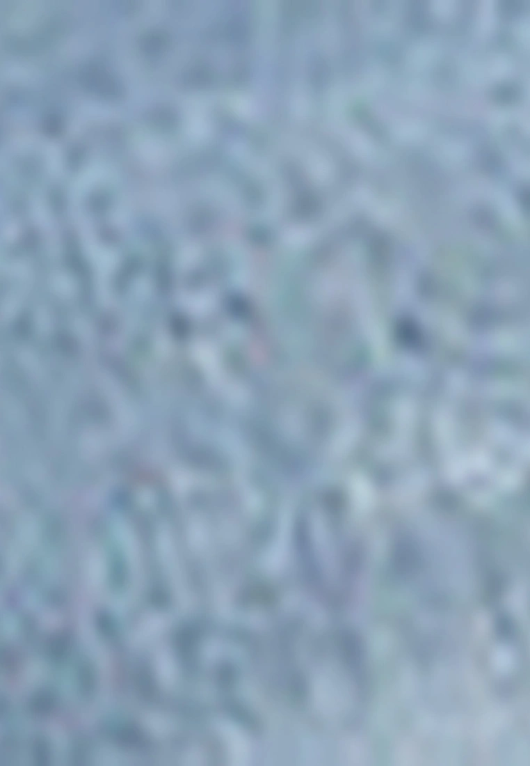 LC WAIKIKI Boyfriend Fit Ripped Detailed Women's Rodeo Jean Shorts With Pockets 7 LC WAIKIKI Boyfriend Fit Ripped Detailed Women's Rodeo Jean Shorts With Pockets - Image 5