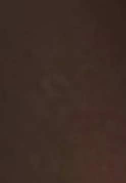 LC WAIKIKI Straight Women's Sports Leggings 13 LC WAIKIKI Straight Women's Sports Leggings -LC WAIKIKI popular shop lc waikiki 7612 8923036 6