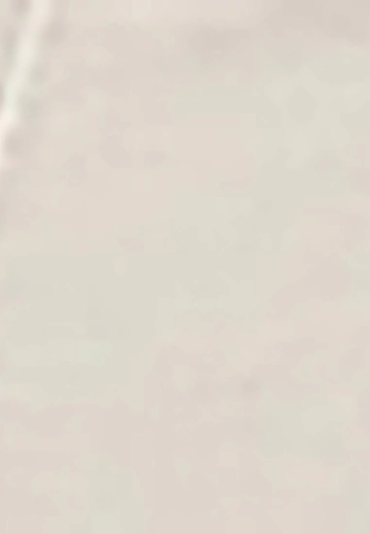 LC WAIKIKI Women's Flat Trousers 8 LC WAIKIKI Women's Flat Trousers - Image 6