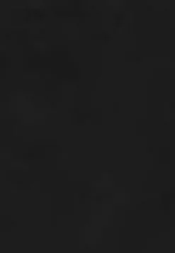 LC WAIKIKI High Waist Standard Fit Straight Women's Rodeo Jean Shorts -LC WAIKIKI popular shop lc waikiki 8146 2592526 6