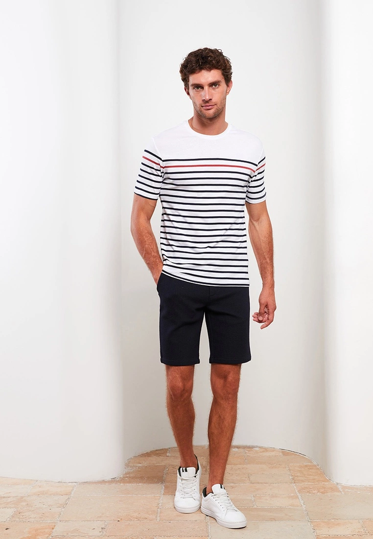 LC WAIKIKI Crew Neck Short Sleeve Striped Pique Men's T-Shirt 5 LC WAIKIKI Crew Neck Short Sleeve Striped Pique Men's T-Shirt - Image 3