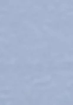 LC WAIKIKI Stand Collar Straight Long Sleeve Women's Sweatshirt Tunic -LC WAIKIKI popular shop lc waikiki 8820 3001616 6