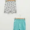 LC WAIKIKI Baby Boy Shorts 2 Pieces -LC WAIKIKI popular shop lc waikiki 8873 1058236 1
