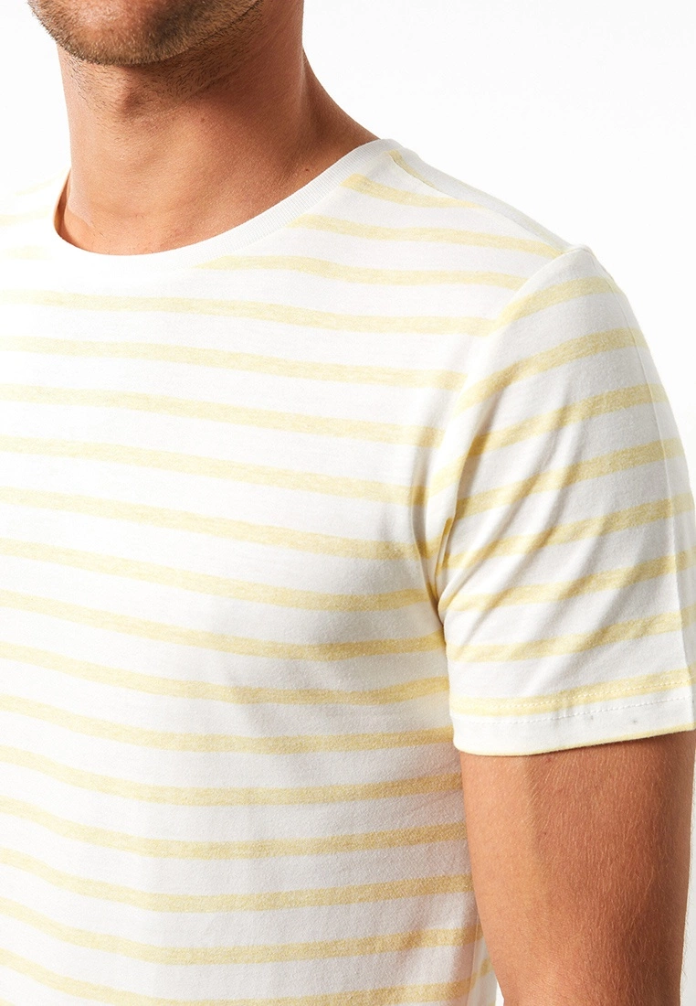 LC WAIKIKI Crew Neck Short Sleeve Striped Combed Cotton Men's T-Shirt 6 LC WAIKIKI Crew Neck Short Sleeve Striped Combed Cotton Men's T-Shirt - Image 4