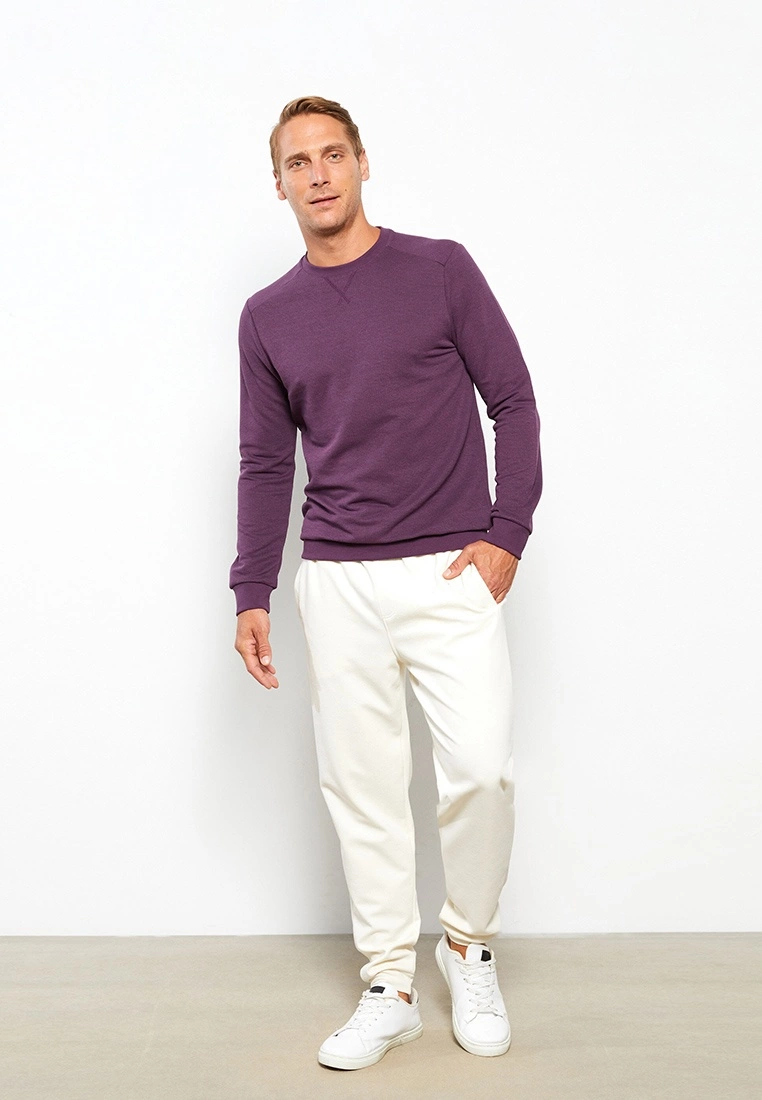 LC WAIKIKI Crew Neck Long Sleeve Men's Sweatshirt 3 LC WAIKIKI Crew Neck Long Sleeve Men's Sweatshirt