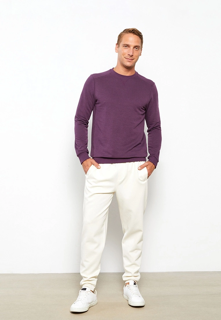 LC WAIKIKI Crew Neck Long Sleeve Men's Sweatshirt 4 LC WAIKIKI Crew Neck Long Sleeve Men's Sweatshirt - Image 2