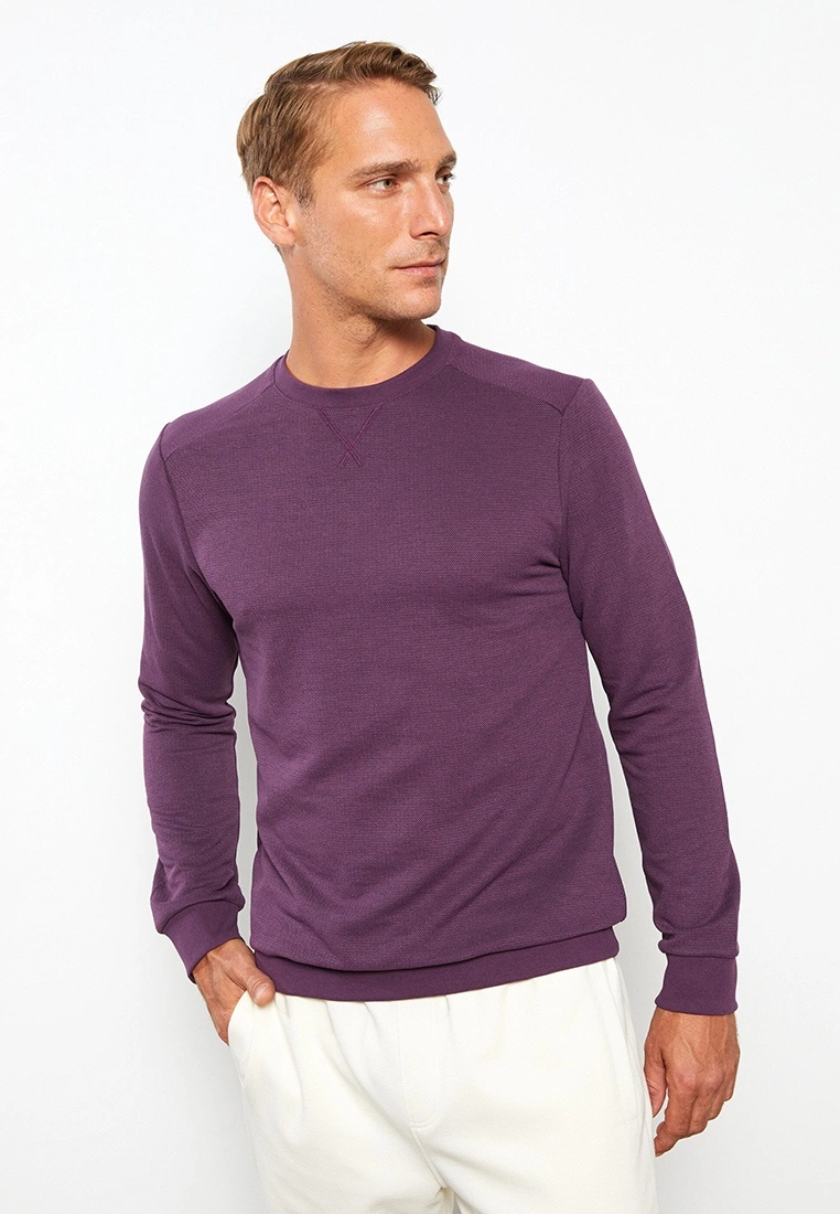 LC WAIKIKI Crew Neck Long Sleeve Men's Sweatshirt 5 LC WAIKIKI Crew Neck Long Sleeve Men's Sweatshirt - Image 3