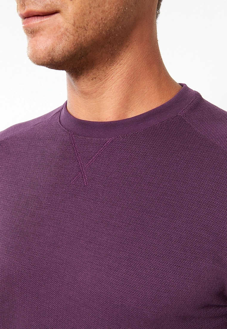 LC WAIKIKI Crew Neck Long Sleeve Men's Sweatshirt 6 LC WAIKIKI Crew Neck Long Sleeve Men's Sweatshirt - Image 4