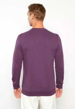 LC WAIKIKI Crew Neck Long Sleeve Men's Sweatshirt 12 LC WAIKIKI Crew Neck Long Sleeve Men's Sweatshirt -LC WAIKIKI popular shop lc waikiki 8968 1984036 5