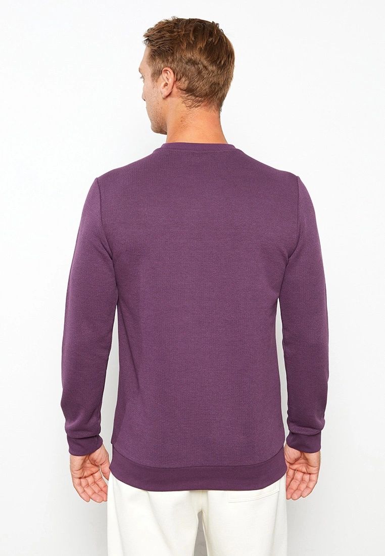 LC WAIKIKI Crew Neck Long Sleeve Men's Sweatshirt 7 LC WAIKIKI Crew Neck Long Sleeve Men's Sweatshirt - Image 5