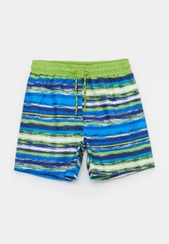 LC WAIKIKI Printed Quick Drying Boy's Swim Shorts