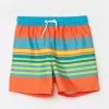 LC WAIKIKI Boys' Striped Quick Dry Beach Shorts 1 LC WAIKIKI Boys' Striped Quick Dry Beach Shorts -LC WAIKIKI popular shop lc waikiki 9361 3982036 1