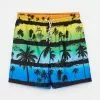 LC WAIKIKI Printed Quick Drying Boy's Swim Shorts -LC WAIKIKI popular shop lc waikiki 9362 4982036 1
