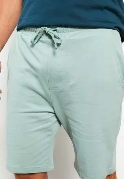 LC WAIKIKI Standard Pattern Waist Elastic Men's Shorts -LC WAIKIKI popular shop lc waikiki 9721 4226726 3